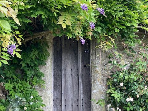 William Penn Suite Garden